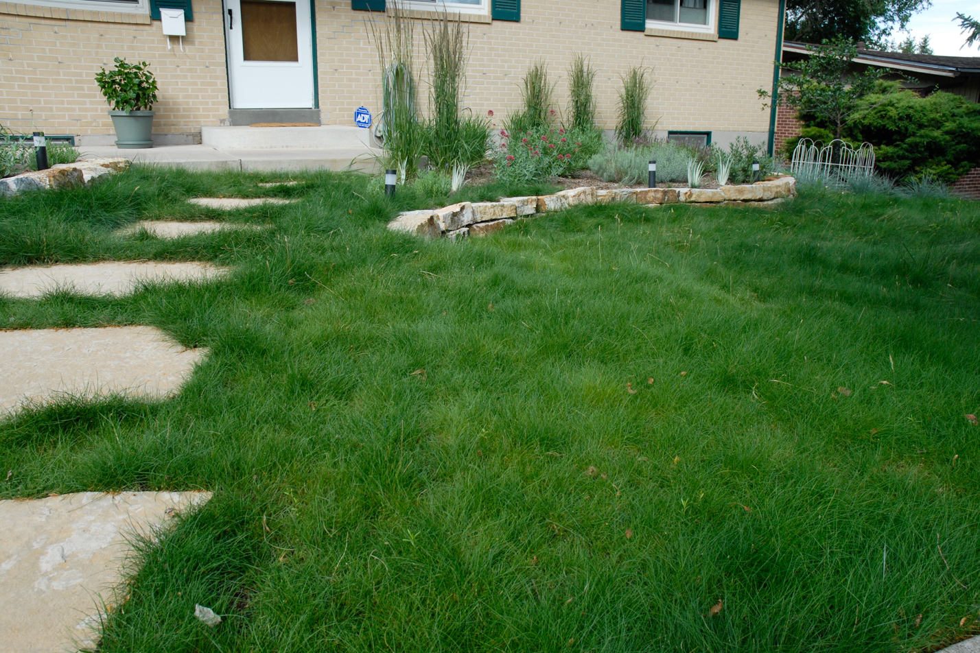 Low Maintenance Reno